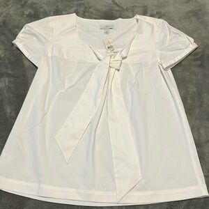 Summer dressy shirt for women